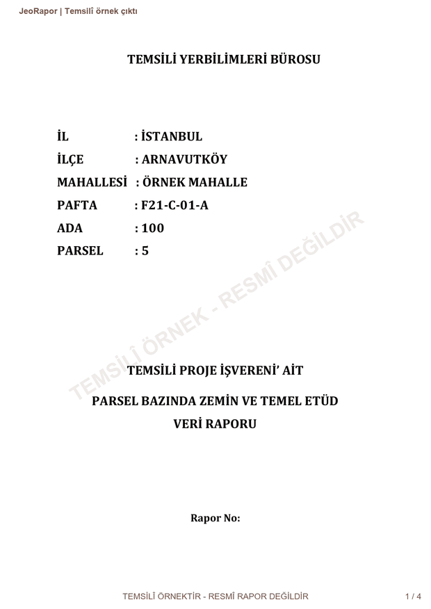 Temsilî JeoRapor çıktısı, sayfa 1